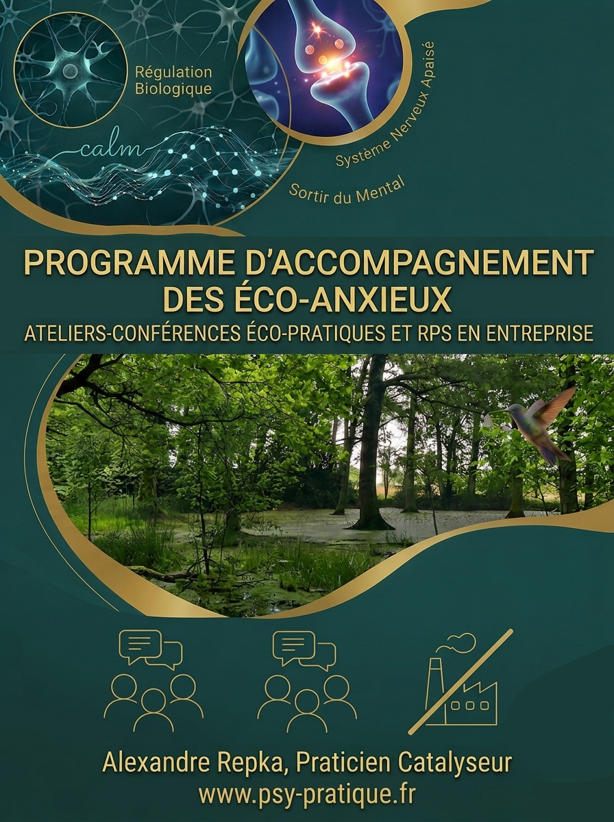 Alexandre Repka — Praticien Catalyseur, psy-pratique.fr
